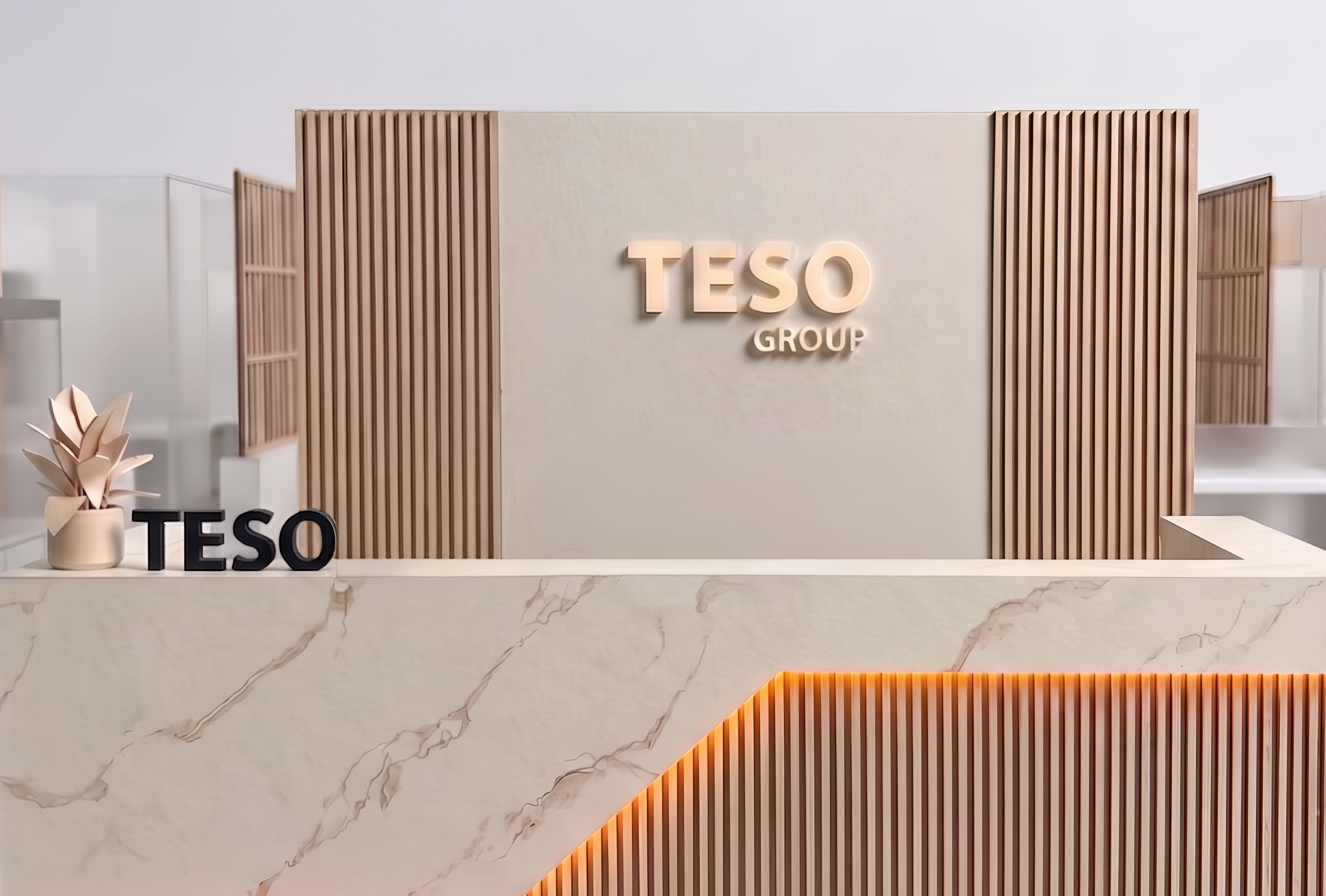 TESO Group reception
