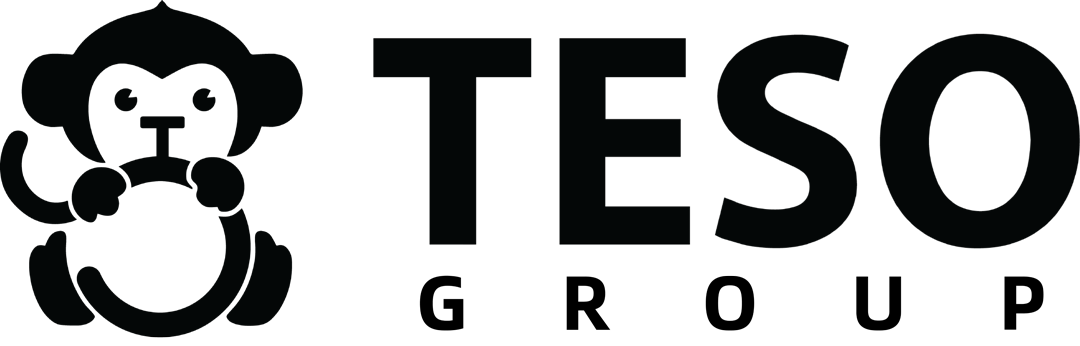 TESO Group logo