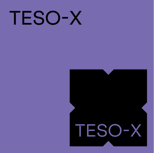 teso x small banner